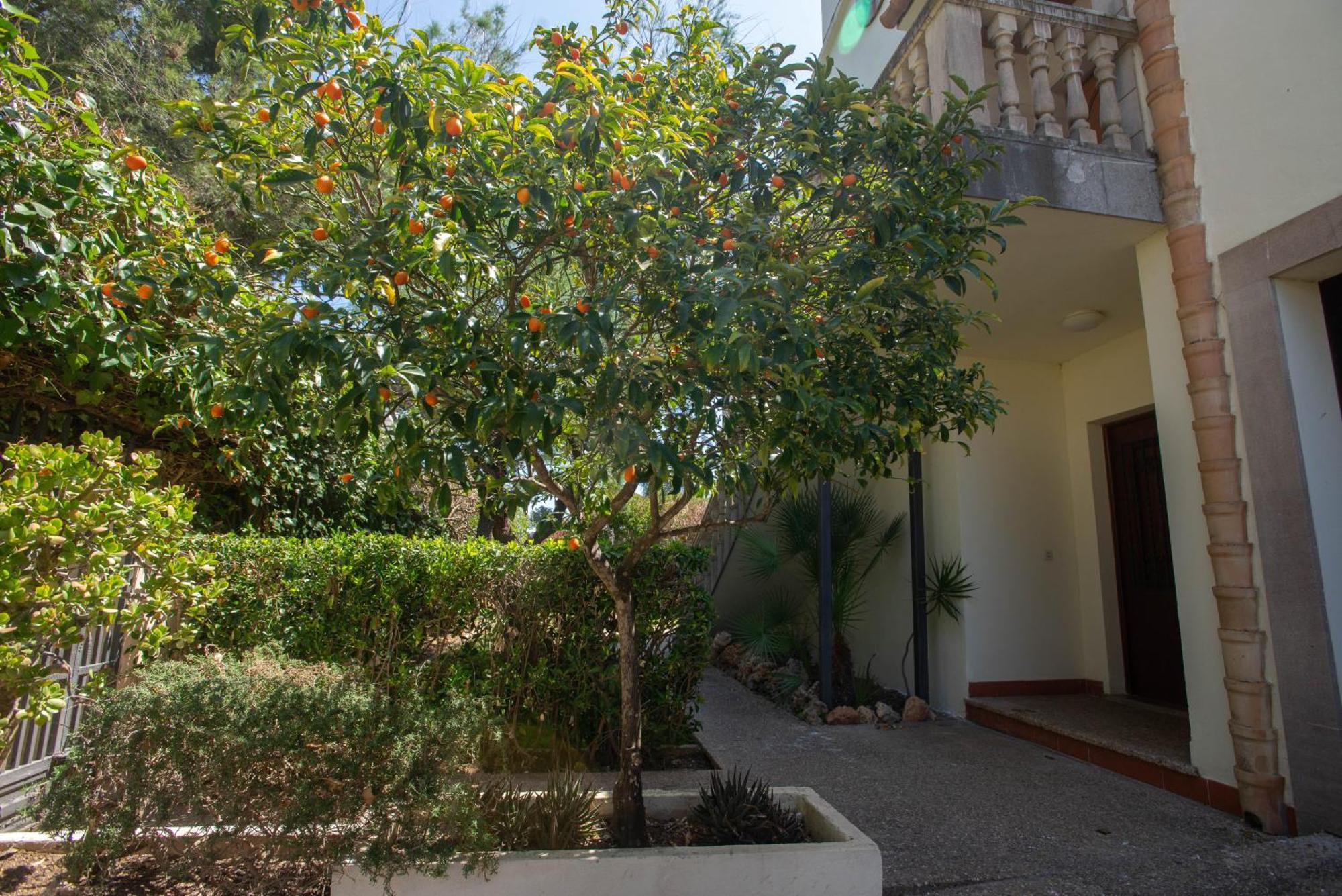 Appartement Sea Horse Oasis Playa de Muro (Mallorca)